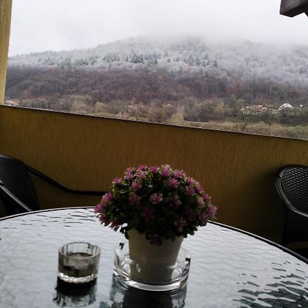 Vila Poienita Caciulata Călimăneşti Dış mekan fotoğraf