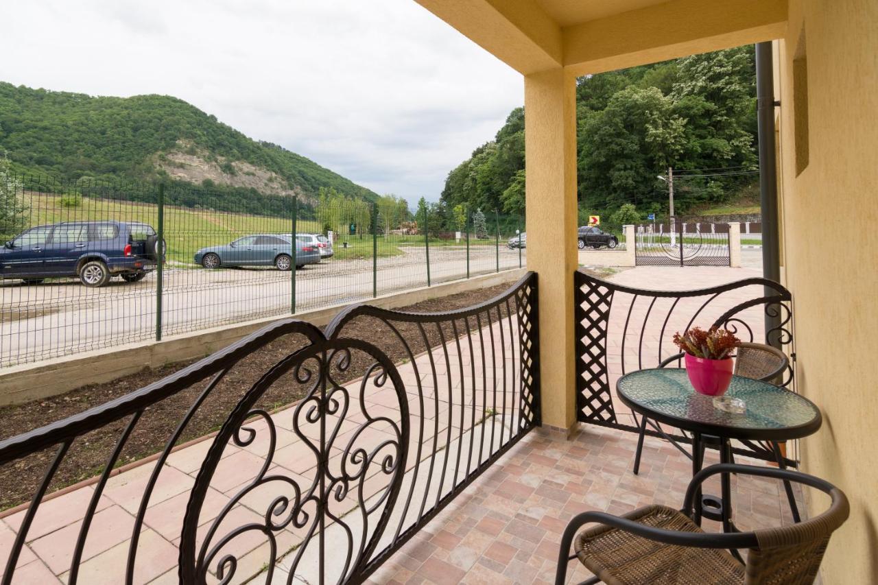 Vila Poienita Caciulata Călimăneşti Dış mekan fotoğraf