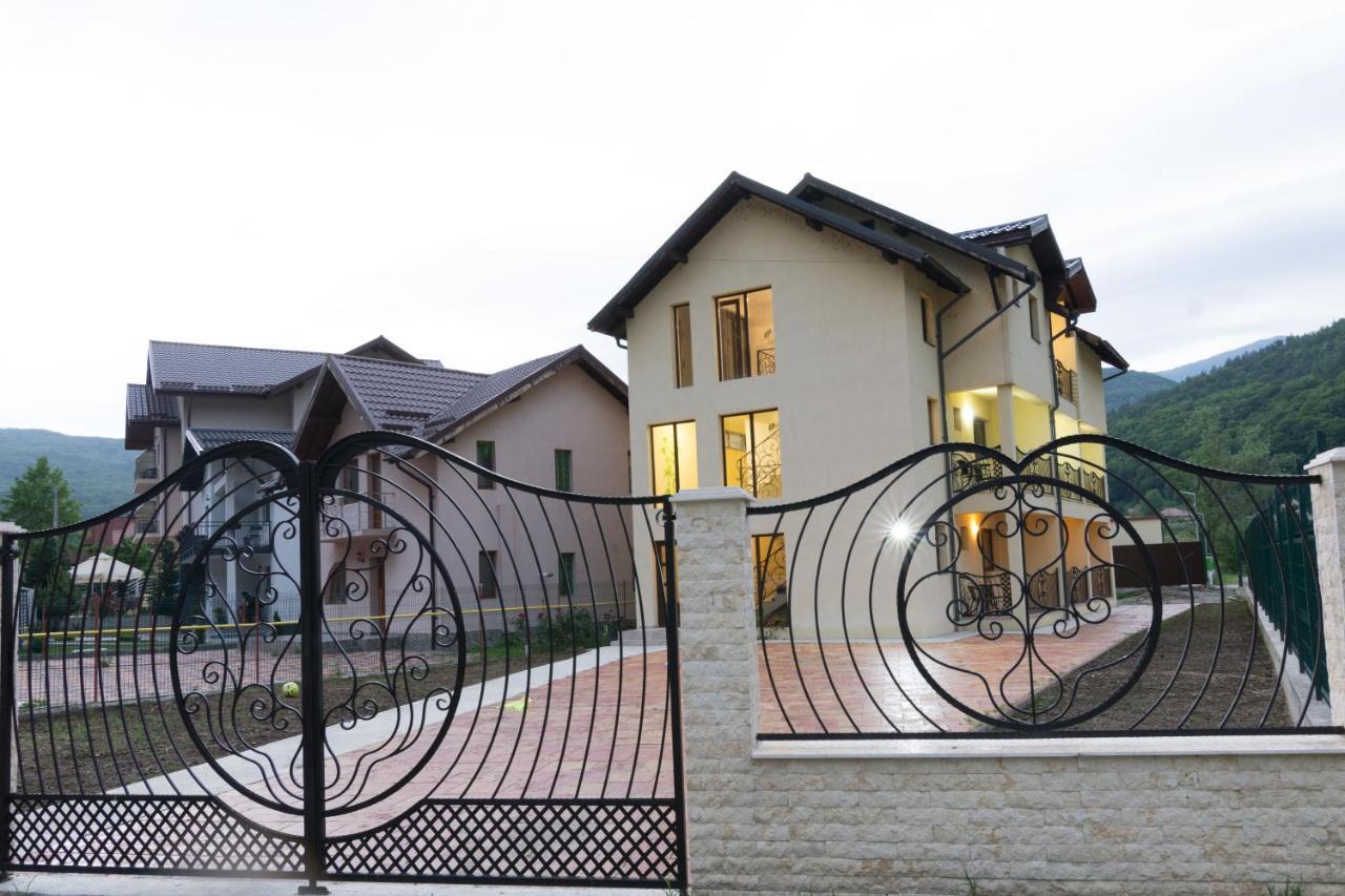 Vila Poienita Caciulata Călimăneşti Dış mekan fotoğraf