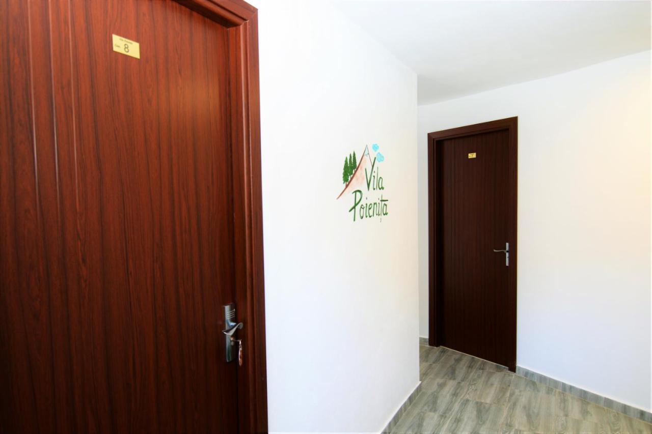 Vila Poienita Caciulata Călimăneşti Dış mekan fotoğraf