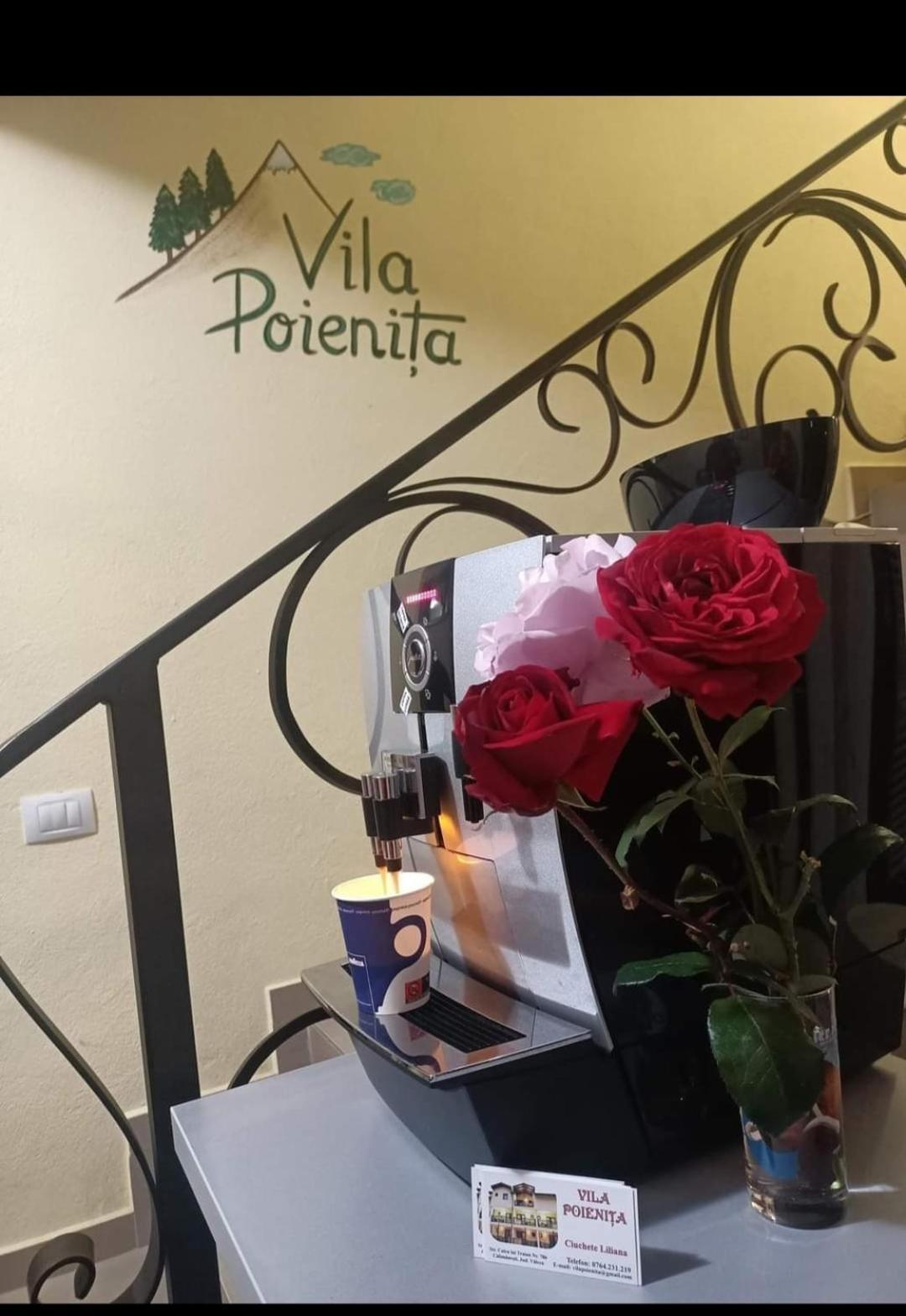 Vila Poienita Caciulata Călimăneşti Dış mekan fotoğraf